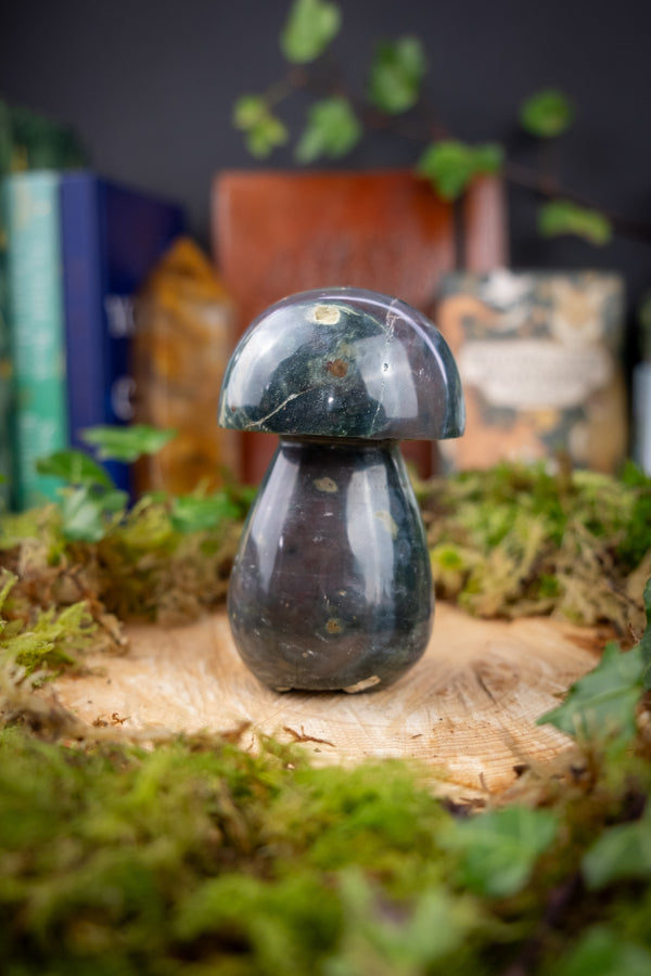 Ocean Jasper crystal Toadstool, Go with the flow, Gemstone for joy and happiness, Emotional stability, Ocean crystal, A grade.