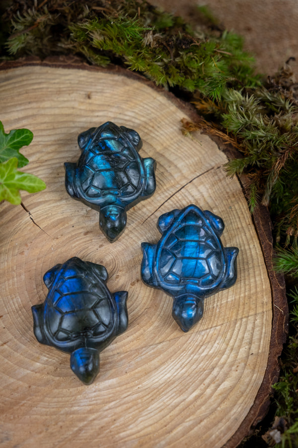 Labradorite Turtle Carving, Natural Labradorite Crystal for Protection Intuition and Emotional Strength