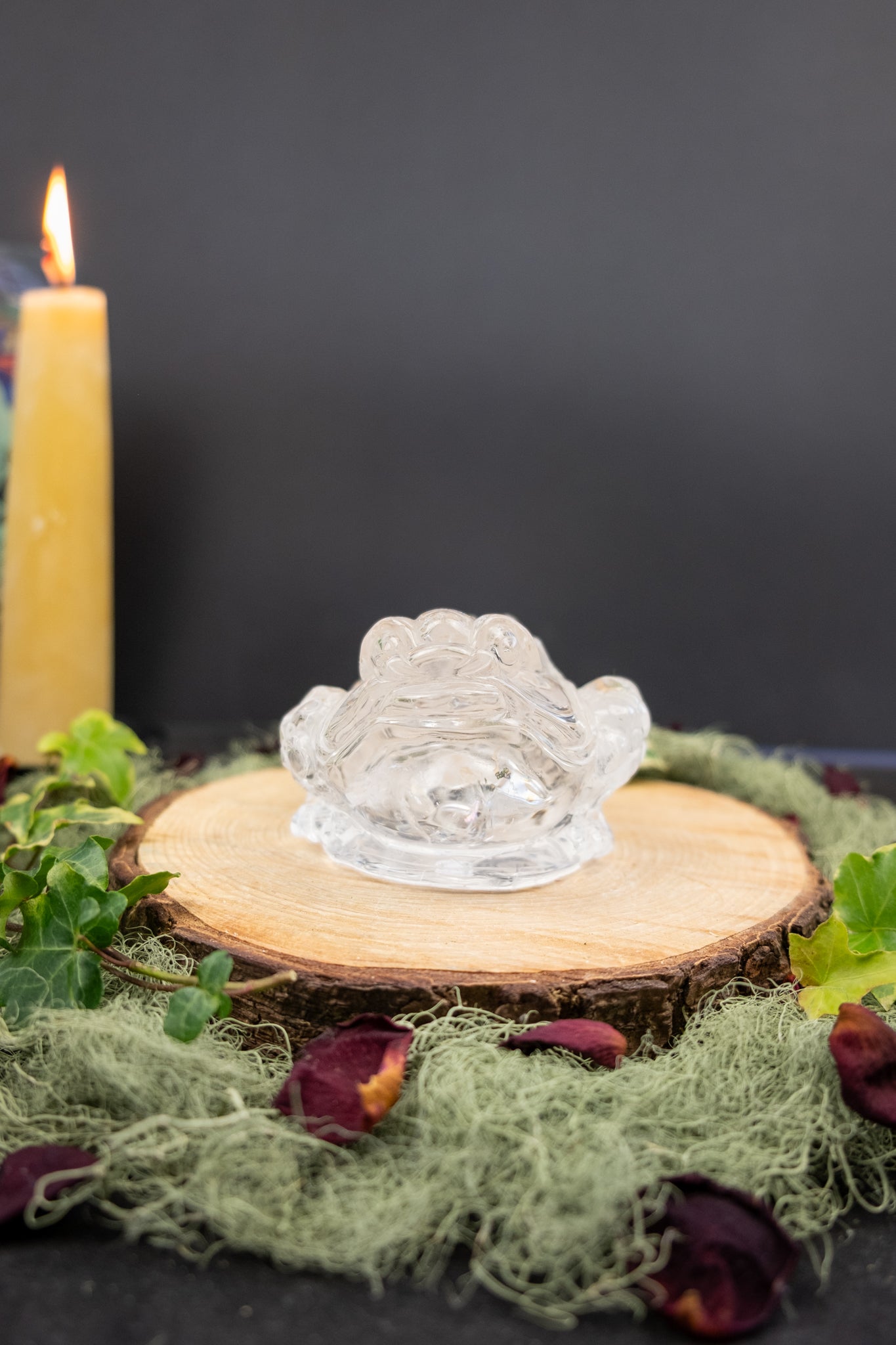 Clear Quartz Money Frog Hand Carved Brazil High Grade Abundance Crystal Wealth Symbol Exceptional Clarity Collector Piece