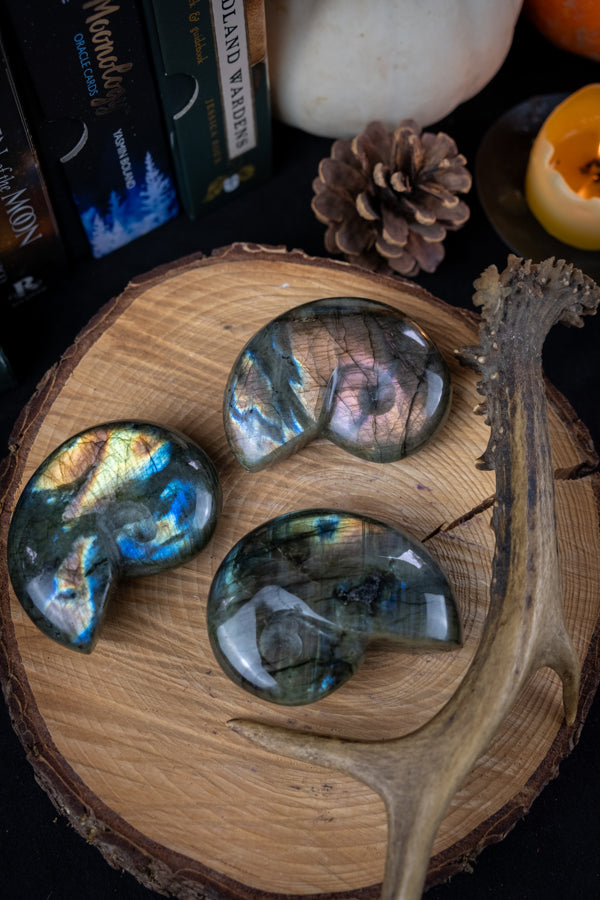 Labradorite Crystal Ammonite, Crystal for intuition, Crystal for change, Spiritual gift, Akashic records, Psychic crystal, Protection stone