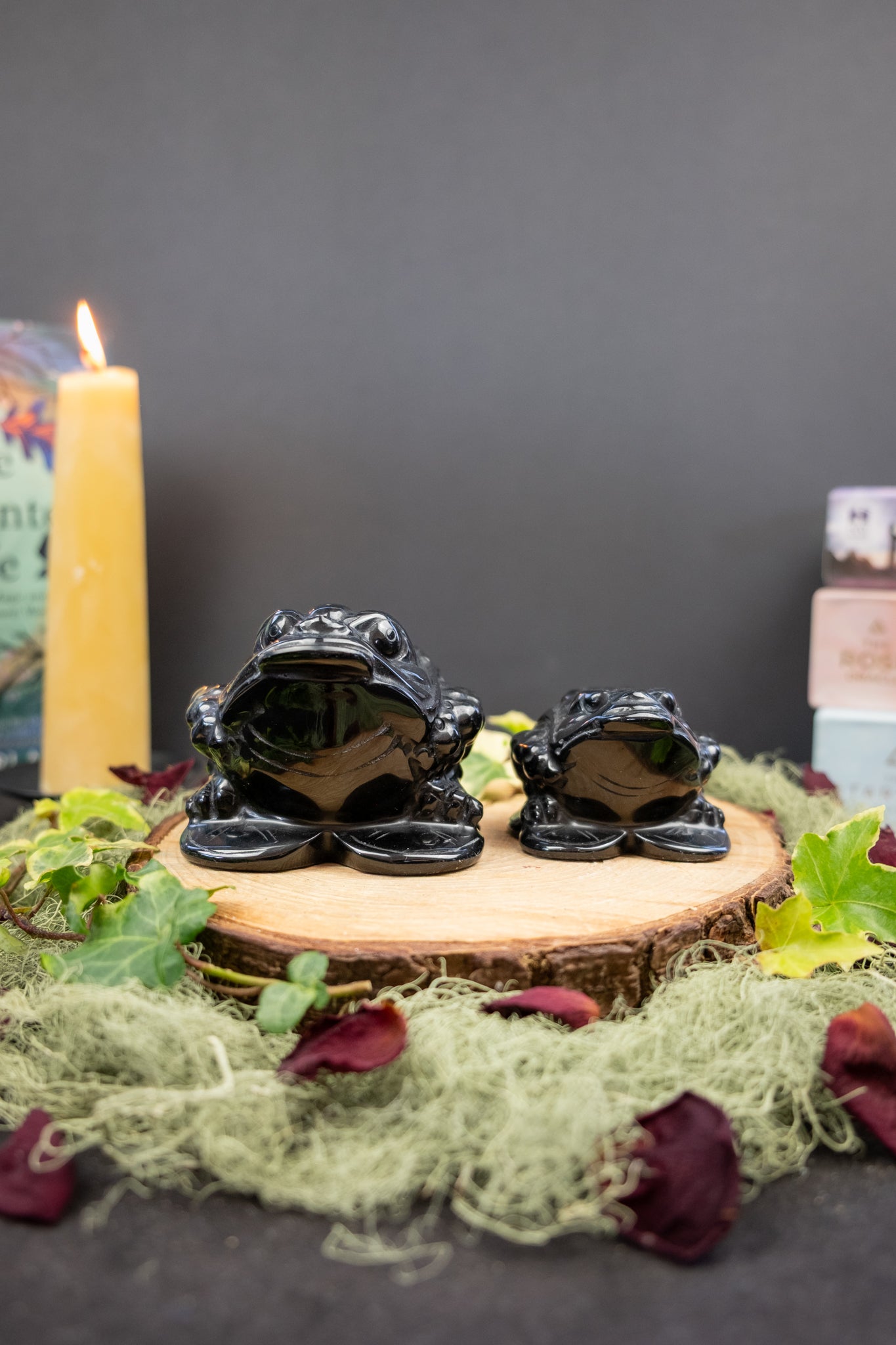 Black Obsidian Money Frog Crystal Carving, Protection and Prosperity Stone, Grounding Wealth Symbol from Mexico