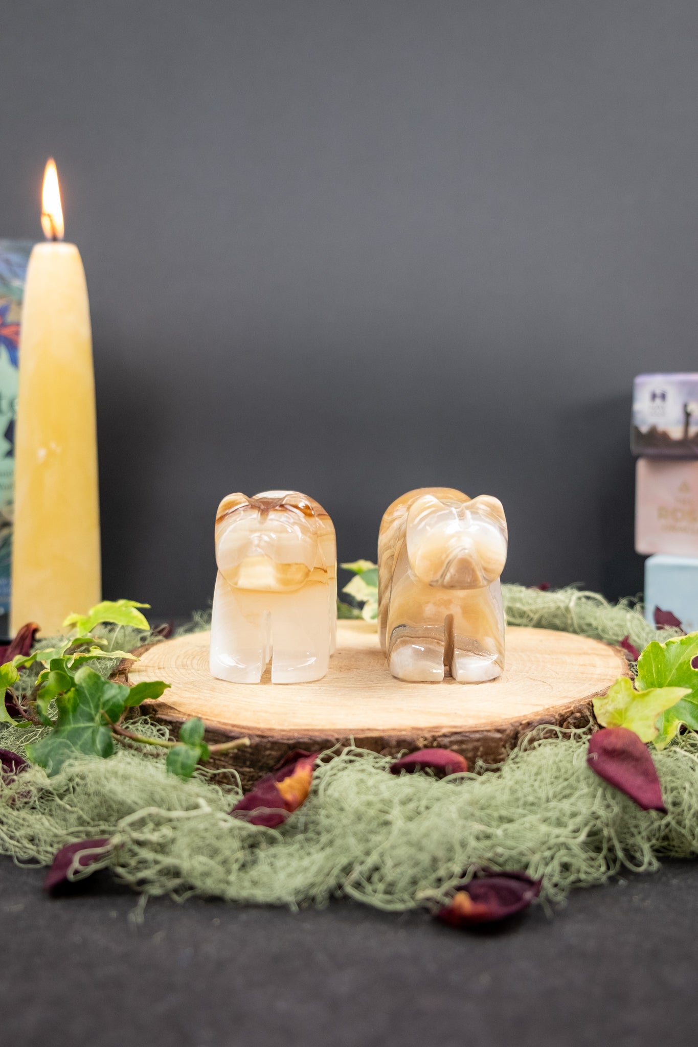 Amber Onyx Bear Carving, Crystal Animal Totem for Strength and Grounded Protection, Ethically Sourced from Pakistan