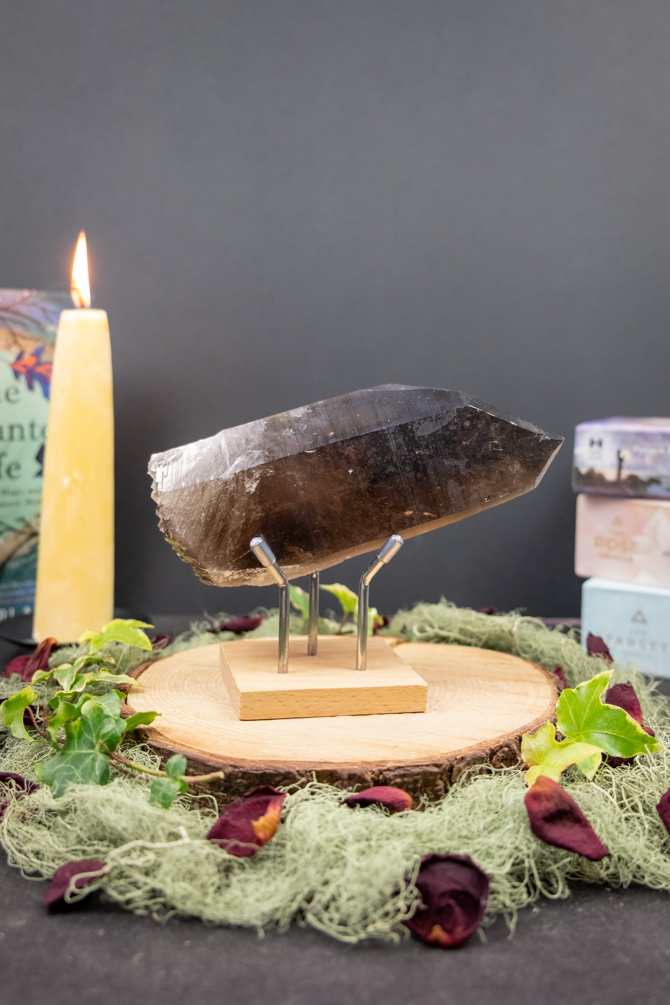 Dark Smokey Lemurian Quartz Point on Stand, Self Healed with Trigonic Etchings, Rare Barnacle Formations, High Grade Natural Crystal