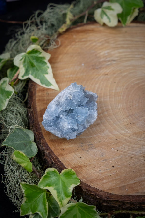 Celestite Cluster, Celestine Crystal, Angelic Blue Gem, High Vibration Stone, Calming Energy for Sleep and Spiritual Connection
