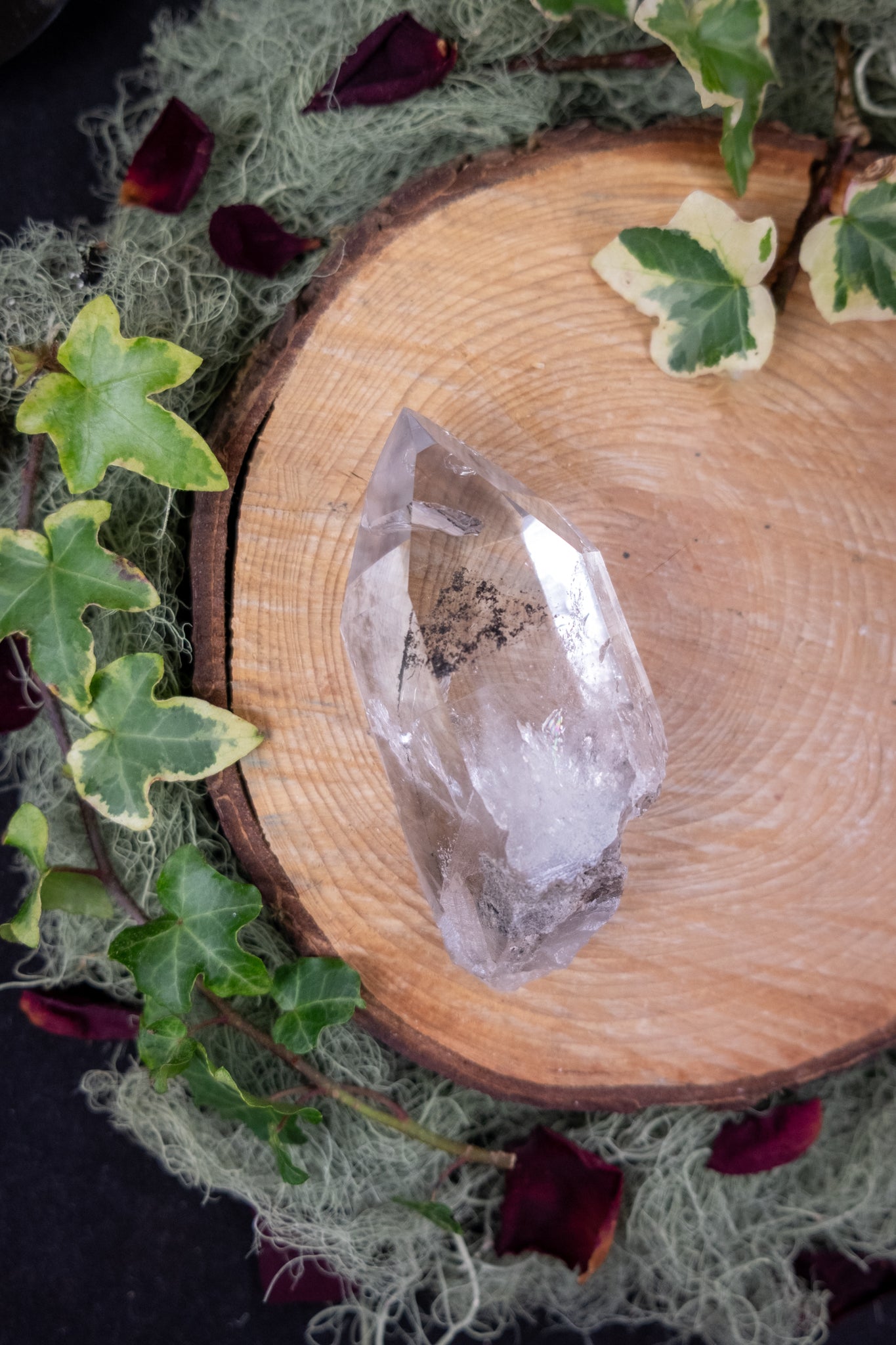Black Phantom Lemurian Quartz Crystal Point, Carbon Included Lemurian, Windowed Self Healed Quartz with Rainbows and Ancient Coding