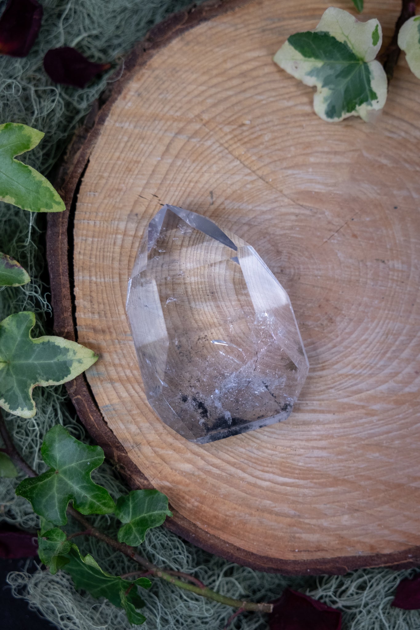 Phantom Lemurian Quartz Crystal Point