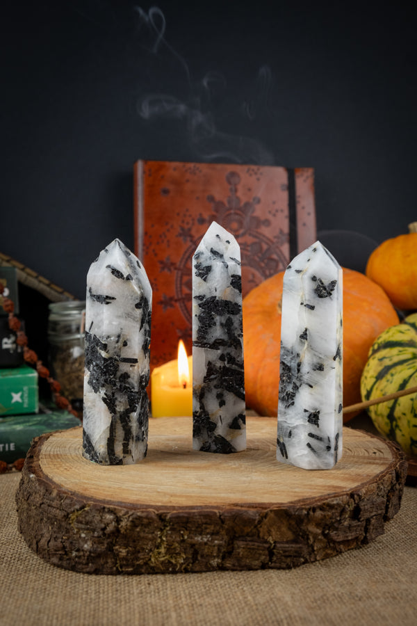 Tourmaline in Quartz Crystal Points, Rutilated crystal, EMF protection, Protection crystal, Protect against negativity, Grounding crystal