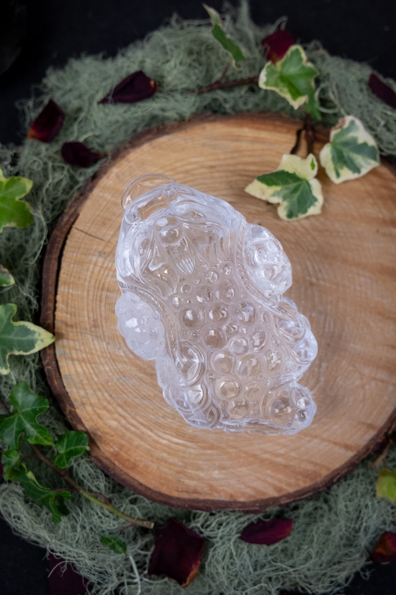 Clear Quartz Money Frog Hand Carved Brazil High Grade Abundance Crystal Wealth Symbol Exceptional Clarity Collector Piece