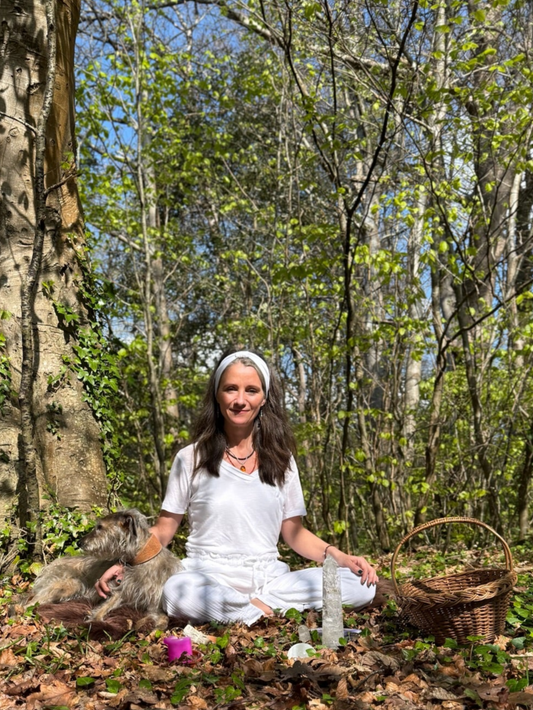 From Burnout to Alignment  - My Journey to a Soul-Led Life