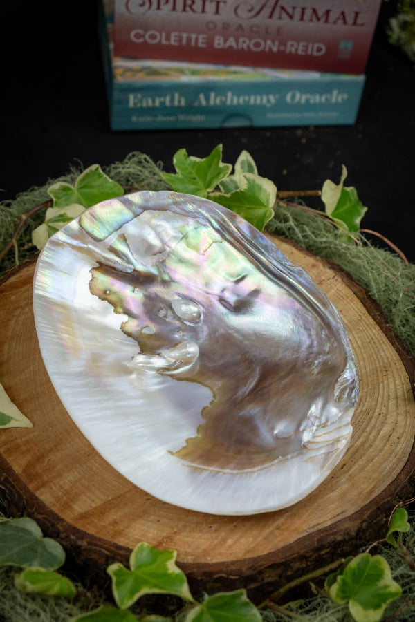 Smudge Bowls and Abalone Shells