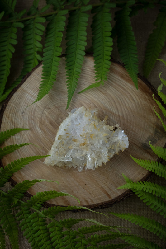 Lemurian Golden Healer Needle Quartz, Colombian Needle Quartz