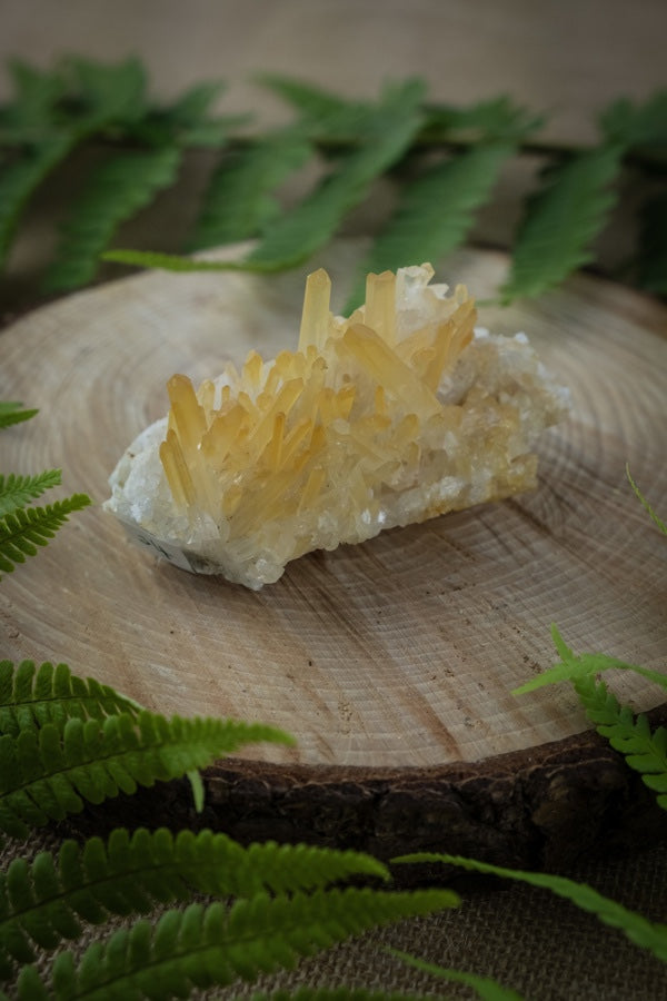 Lemurian Golden Healer Needle Quartz, Colombian Needle Quartz, Rare Crystal, A+ grade, High vibrational stone. Rare find.