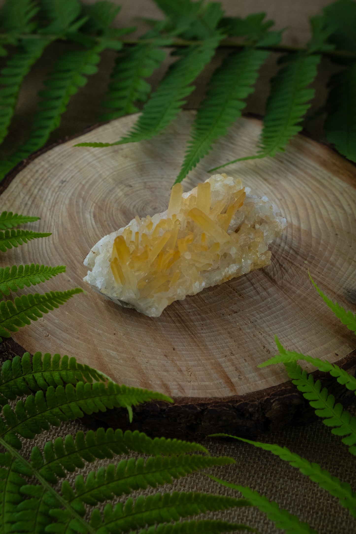 Lemurian Golden Healer Needle Quartz, Colombian Needle Quartz, Rare Crystal, A+ grade, High vibrational stone. Rare find.