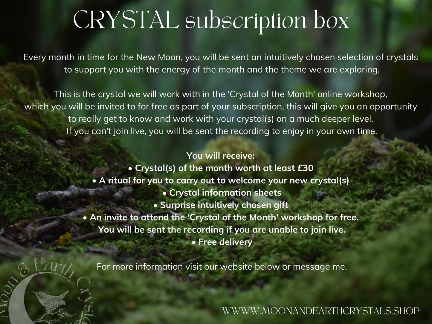 Crystal Kit to Connect to Higher Guidance, Starbrary Quartz Points and Amethyst tumblestone, Intention Setting Kit, Crystal grids, intuition