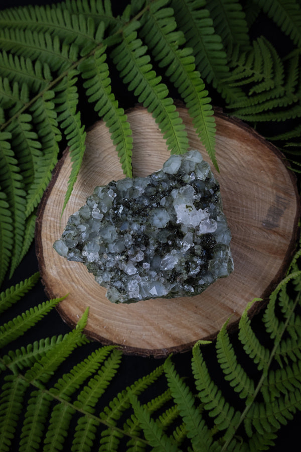 Forest Epidote Quartz Crystal.