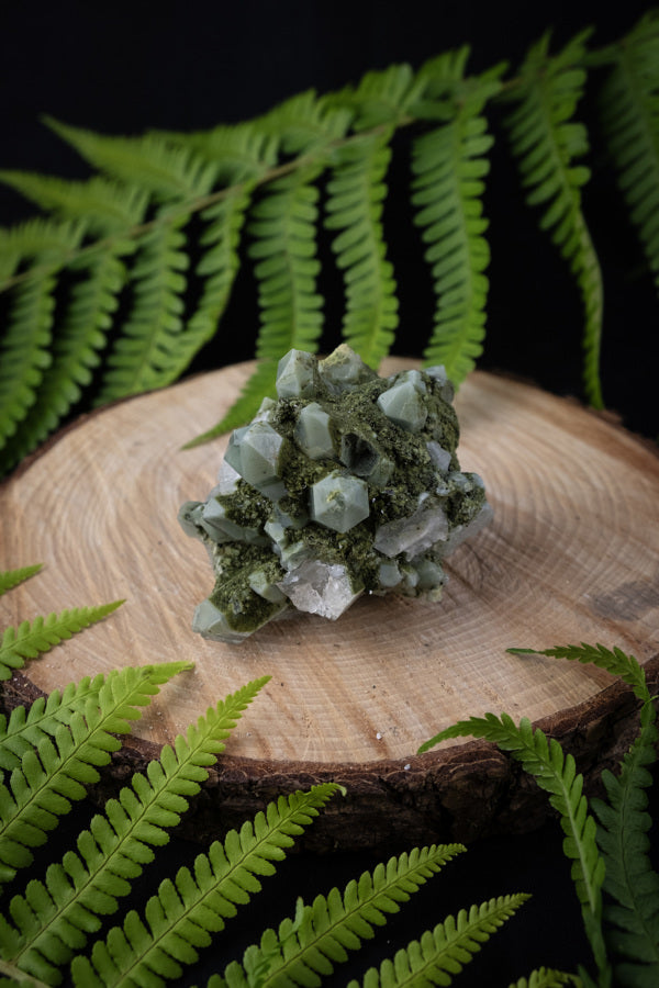 Forest Epidote Quartz Crystal, Sparkly Green Epidote with Quartz, Gaia energy crystal, Aura cleanser, Unusual specimen.