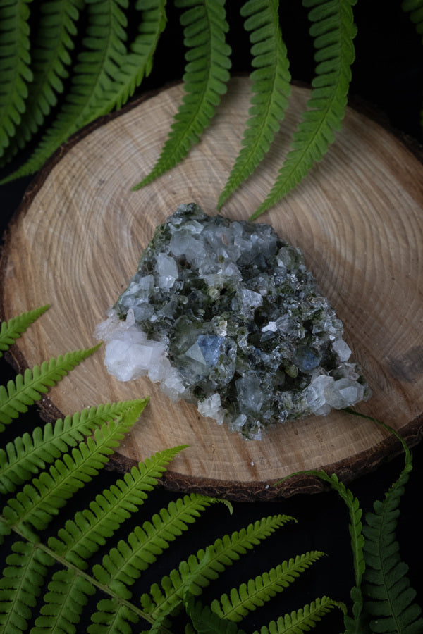 Forest Epidote Quartz Crystal with rainbow, Sparkly Green Epidote with Quartz, Gaia energy crystal, Aura cleanser, Fae energy.