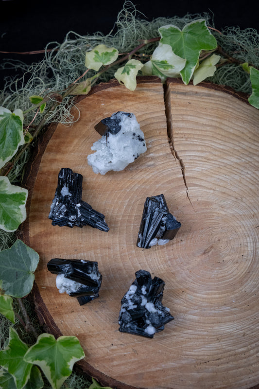 Tourmaline Quartz Raw Crystal Mini Specimen, Powerful Energy Gemstone, Black Tourmaline in Quartz Healing Stone for Protection and Clarity