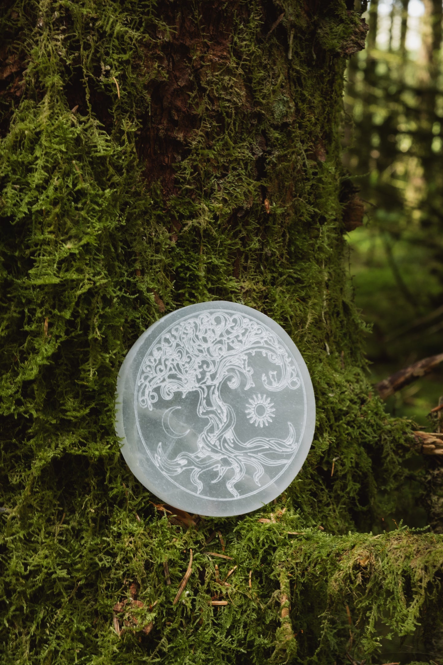 Selenite tree of life crystal charging plate, Cleanse and recharge crystals, clear your home, Aura cleanser.