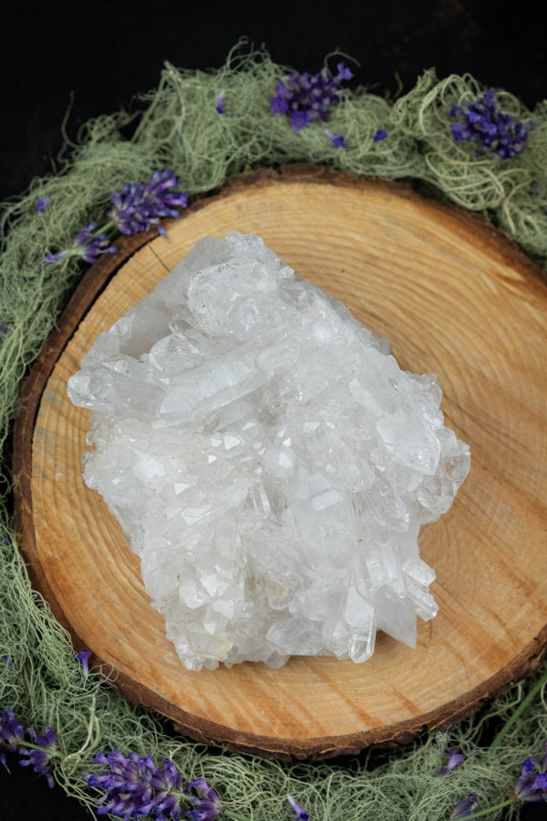Lemurian Quartz Cluster Cave Pocket, Clear Quartz Point Crystal, Rare Healing Gemstone, Master Healer Stone, High Vibration Spiritual Stone