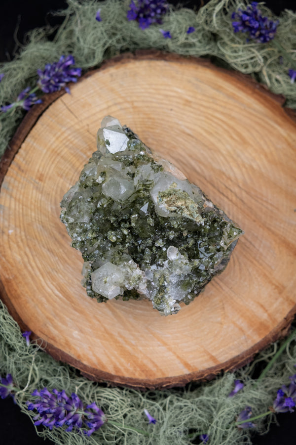 Rare Forest Epidote with Quartz, Unique Green Healing Stone, Raw Epidote Gem, High Vibration Crystal for Transformation and Growth