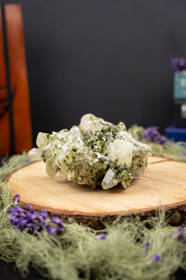 Rare Forest Epidote with Quartz, Unique Green Healing Stone, Raw Epidote Gem, High Vibration Crystal for Transformation and Growth