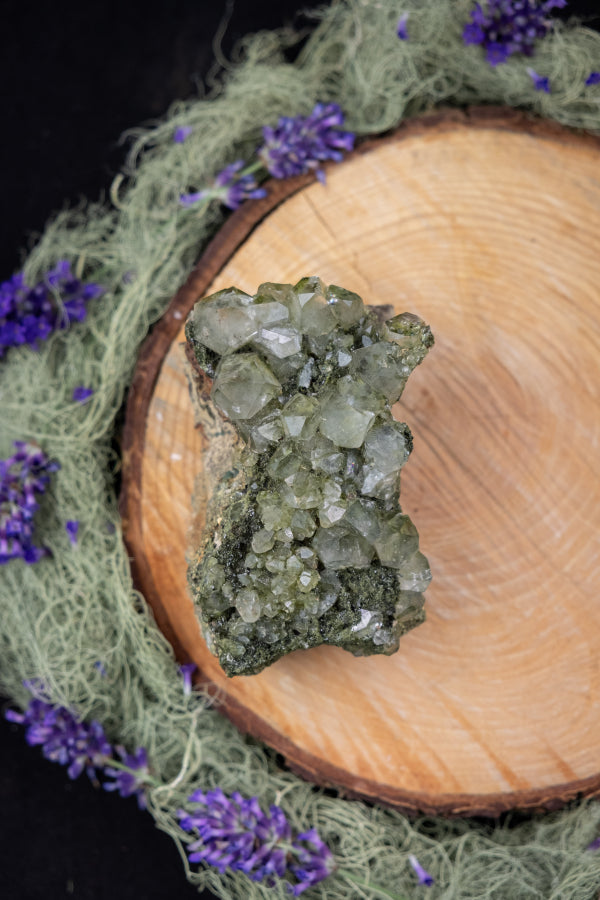 Rare Forest Epidote with Quartz, Unique Green Healing Stone, Raw Epidote Gem, High Vibration Crystal for Transformation and Growth