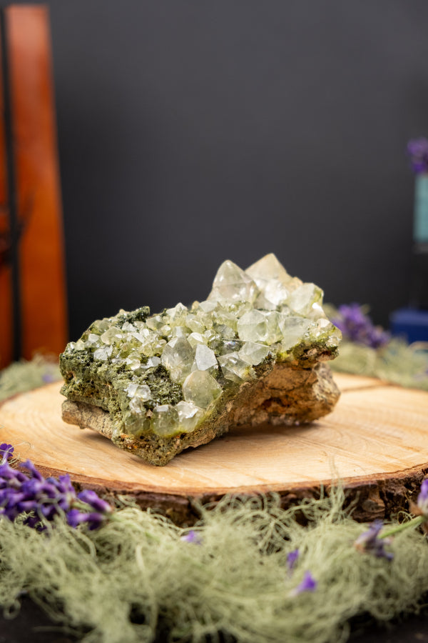 Rare Forest Epidote with Quartz, Unique Green Healing Stone, Raw Epidote Gem, High Vibration Crystal for Transformation and Growth
