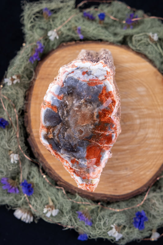 Petrified Wood Freeform