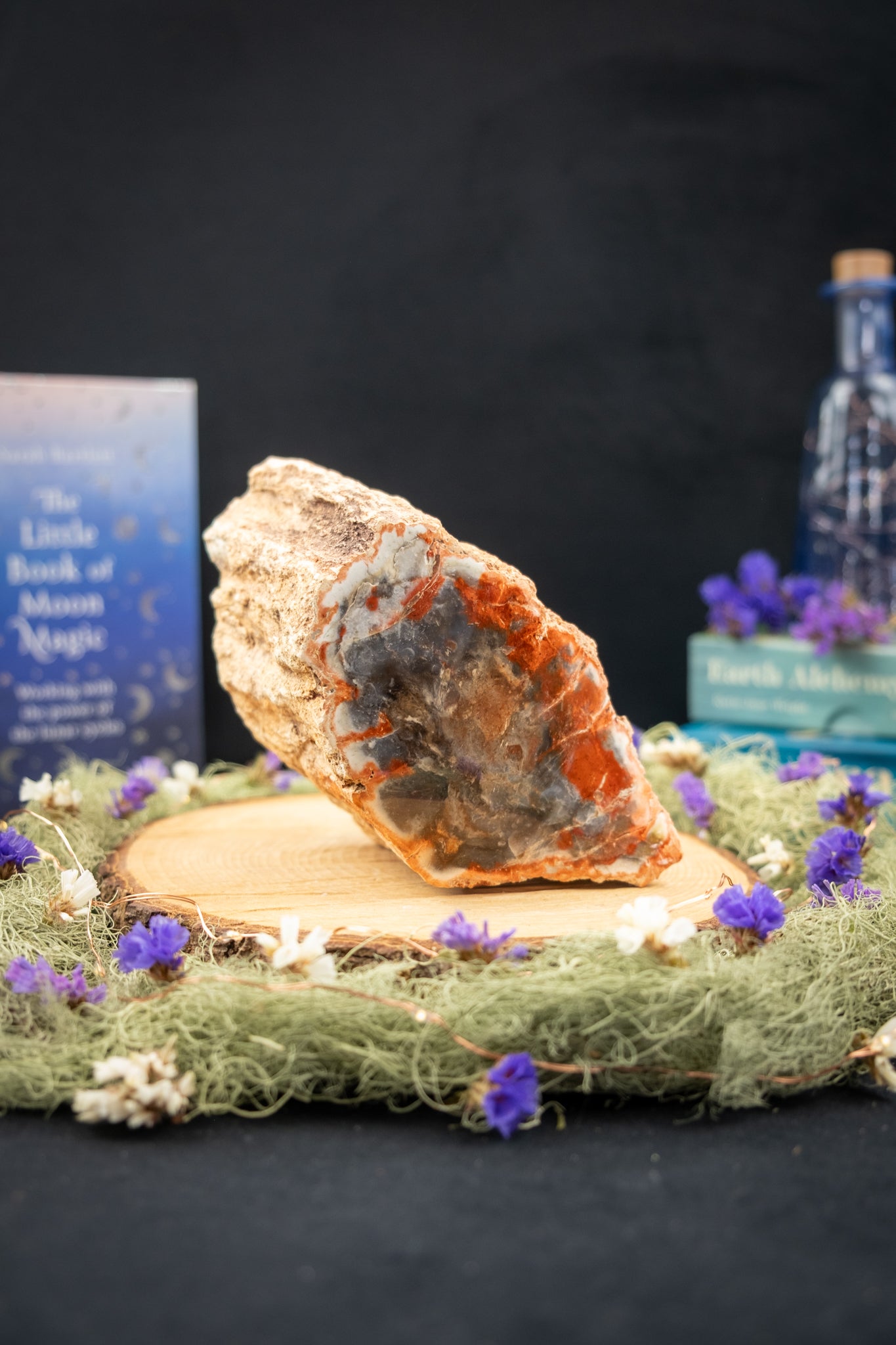 Petrified Wood Freeform