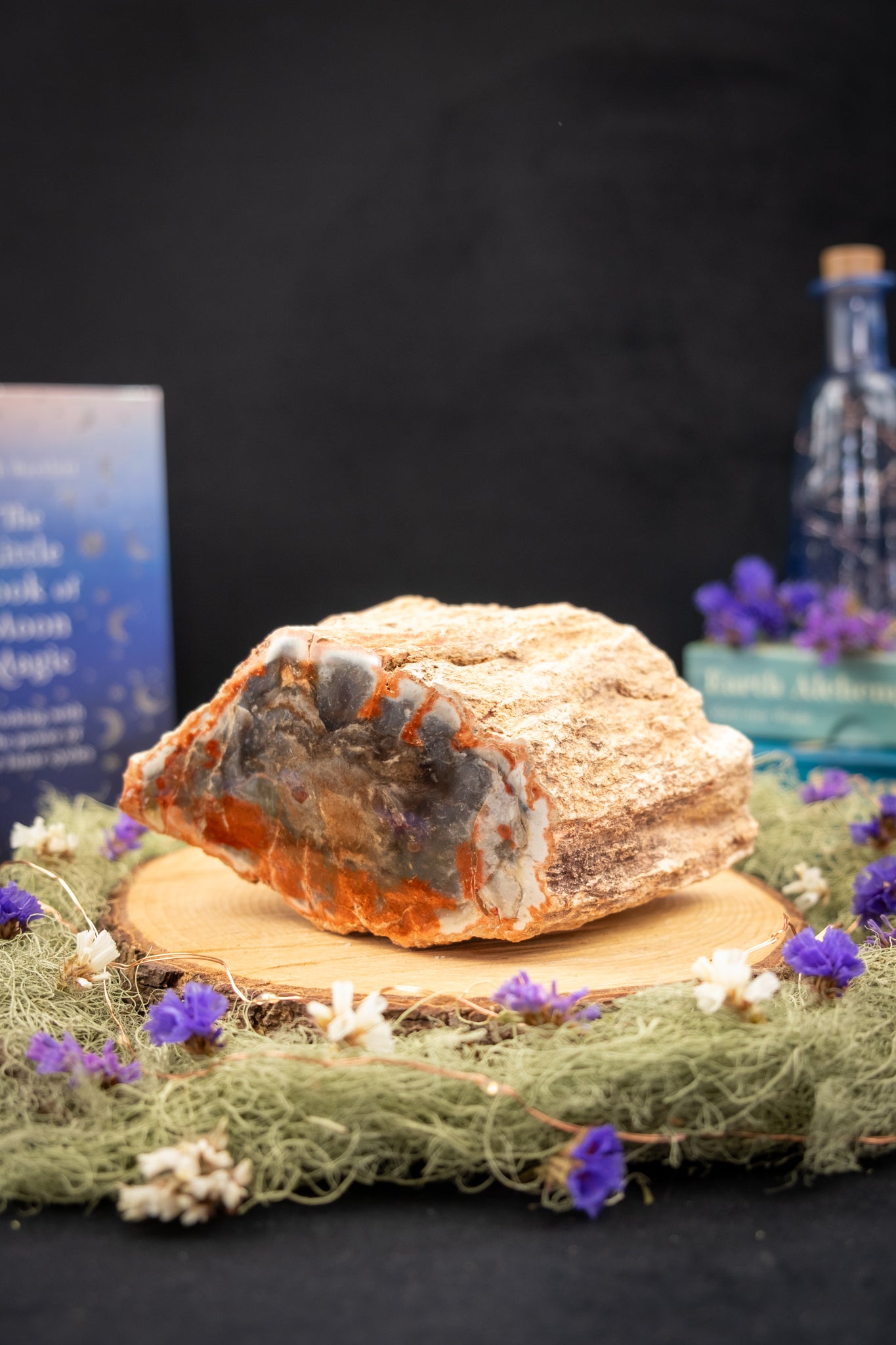 Petrified Wood Freeform