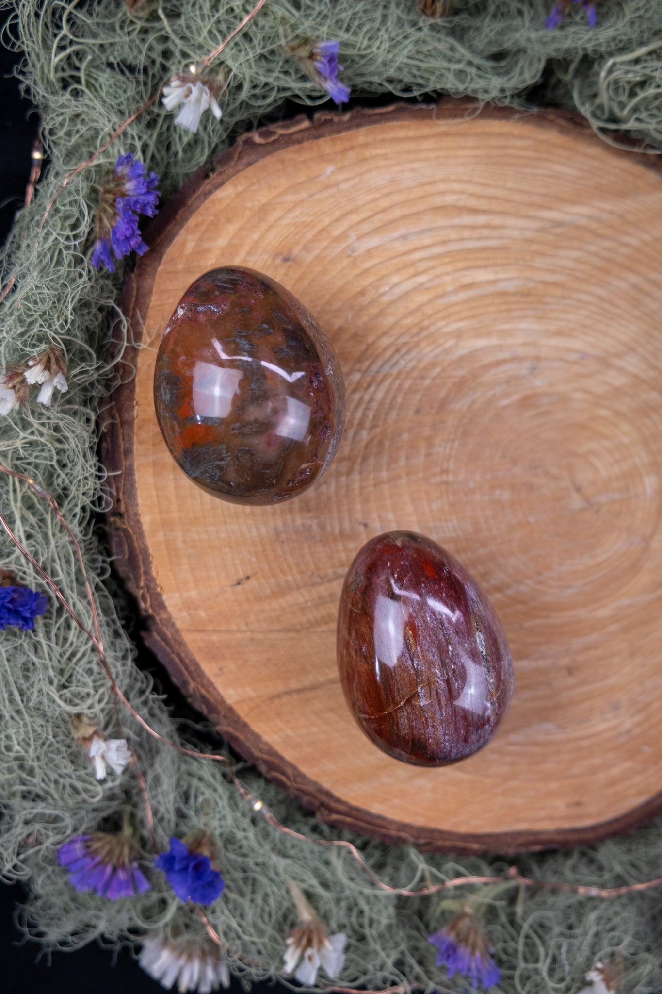 Petrified Wood Crystal Egg