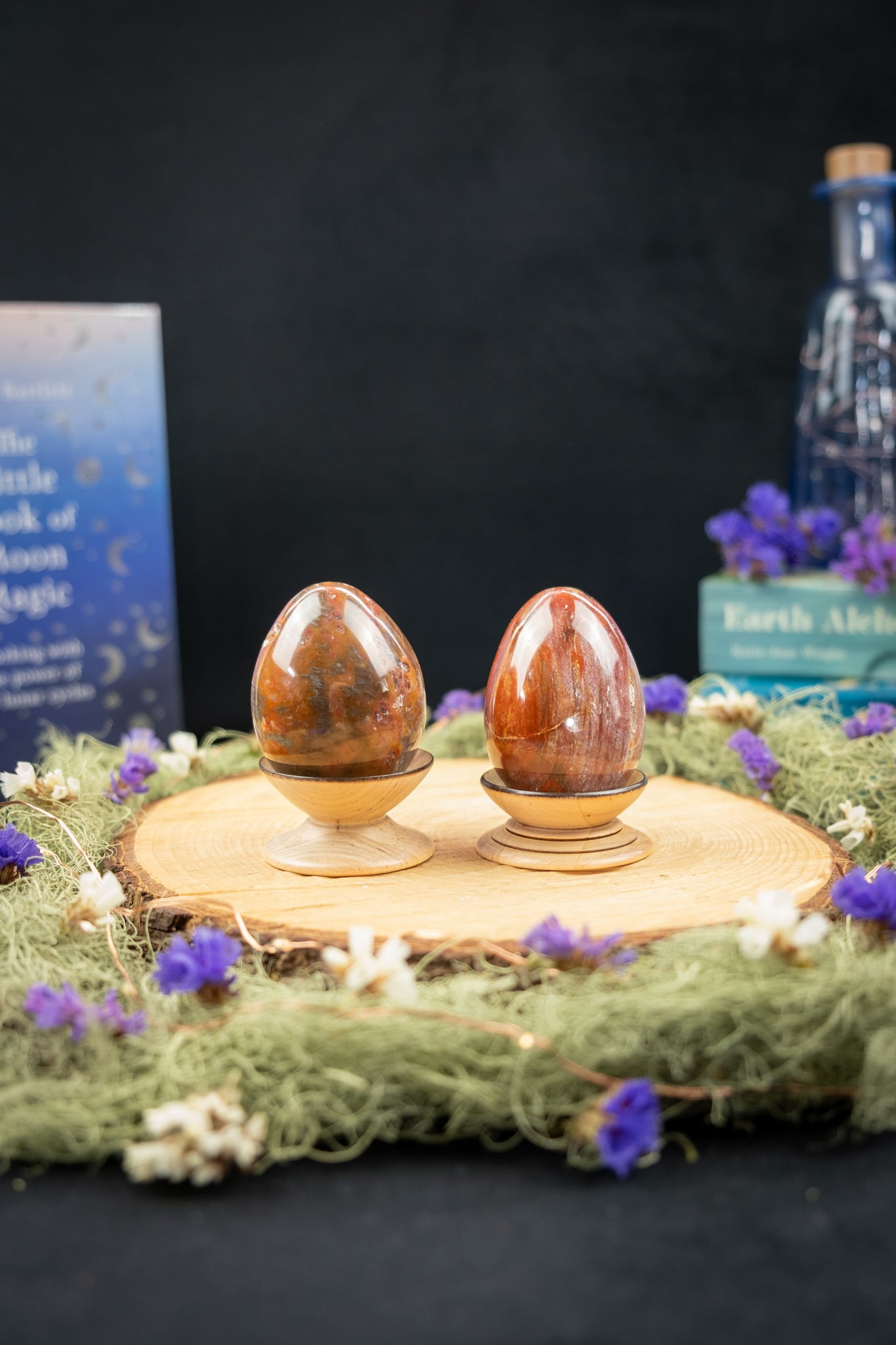 Petrified Wood Crystal Egg