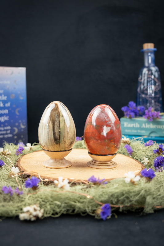 Petrified Wood Crystal Eggs