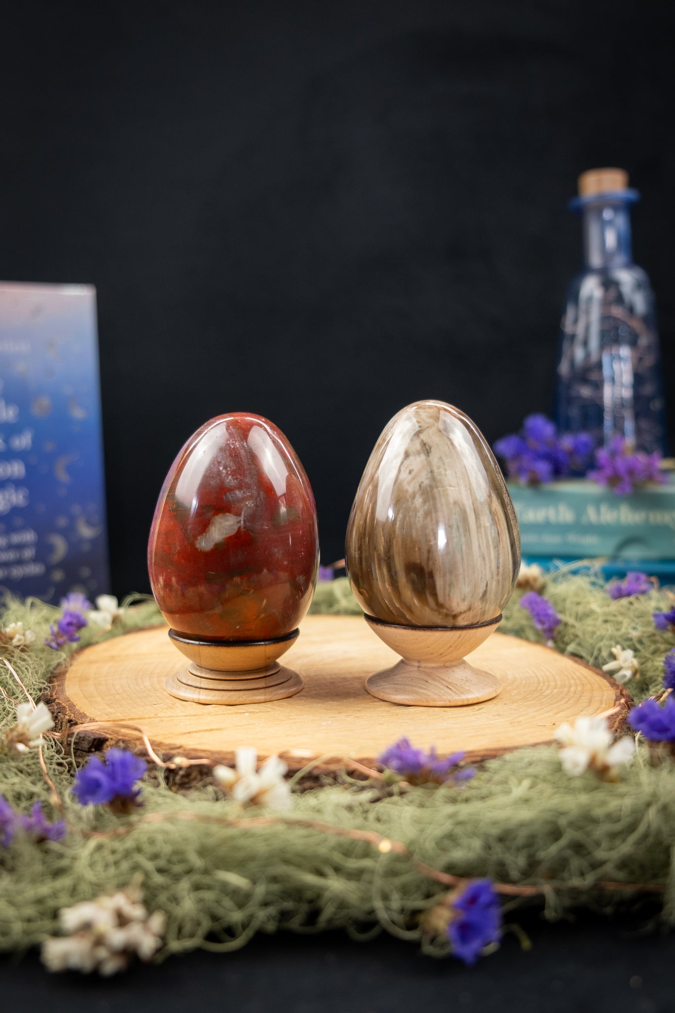 Petrified Wood Crystal Eggs