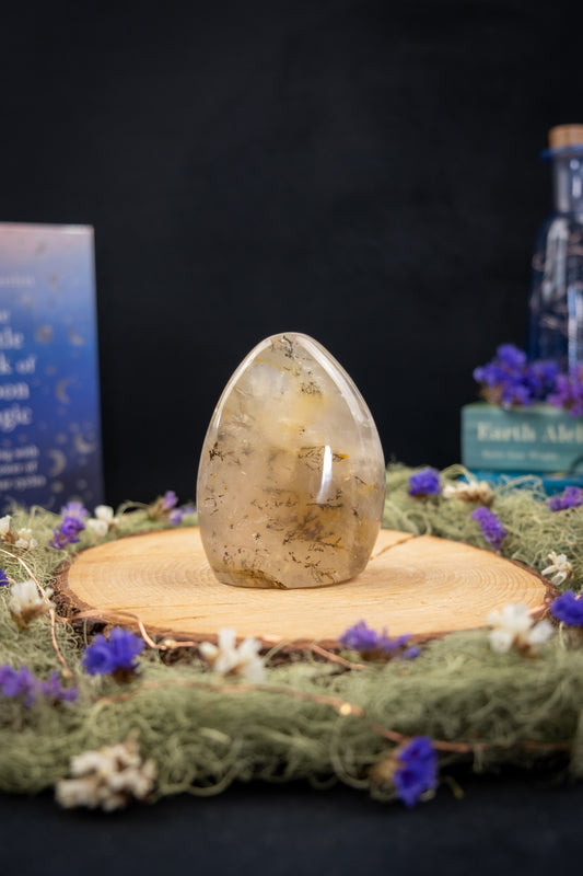 Dendritic Agate Freeform