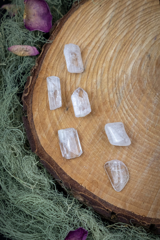 Danburite Crystal Pieces, Raw and Polished, Small Healing Stones, Perfect for Carrying or Wearing Close to the Body