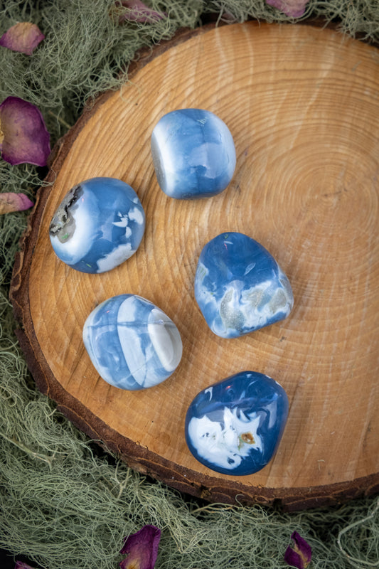 Owyhee Blue Opal Pebbles, USA, Calming Healing Crystal Stone for Tranquillity, Intuition and Inner Peace1