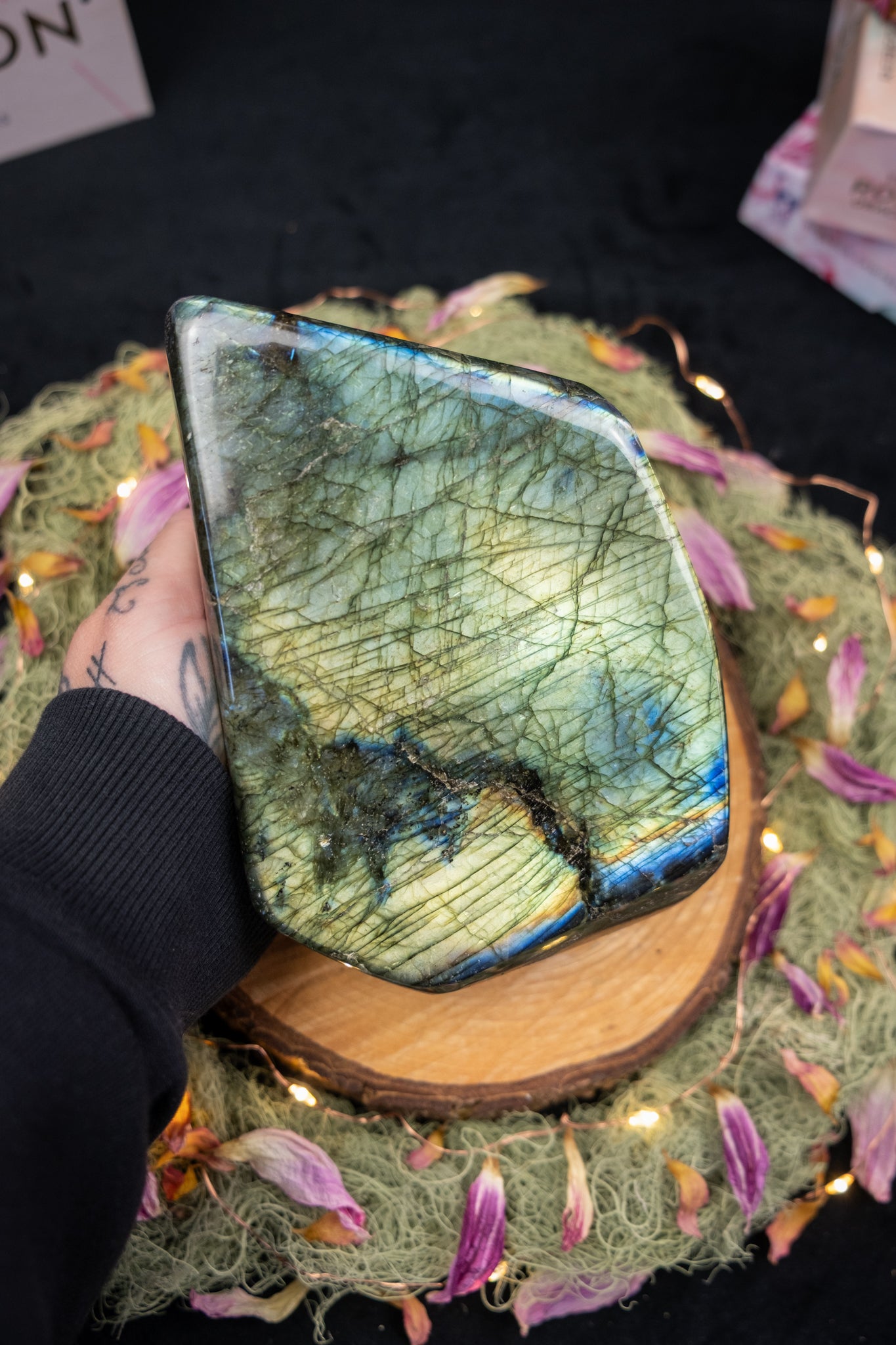 Labradorite Freeform, High Grade Statement Piece