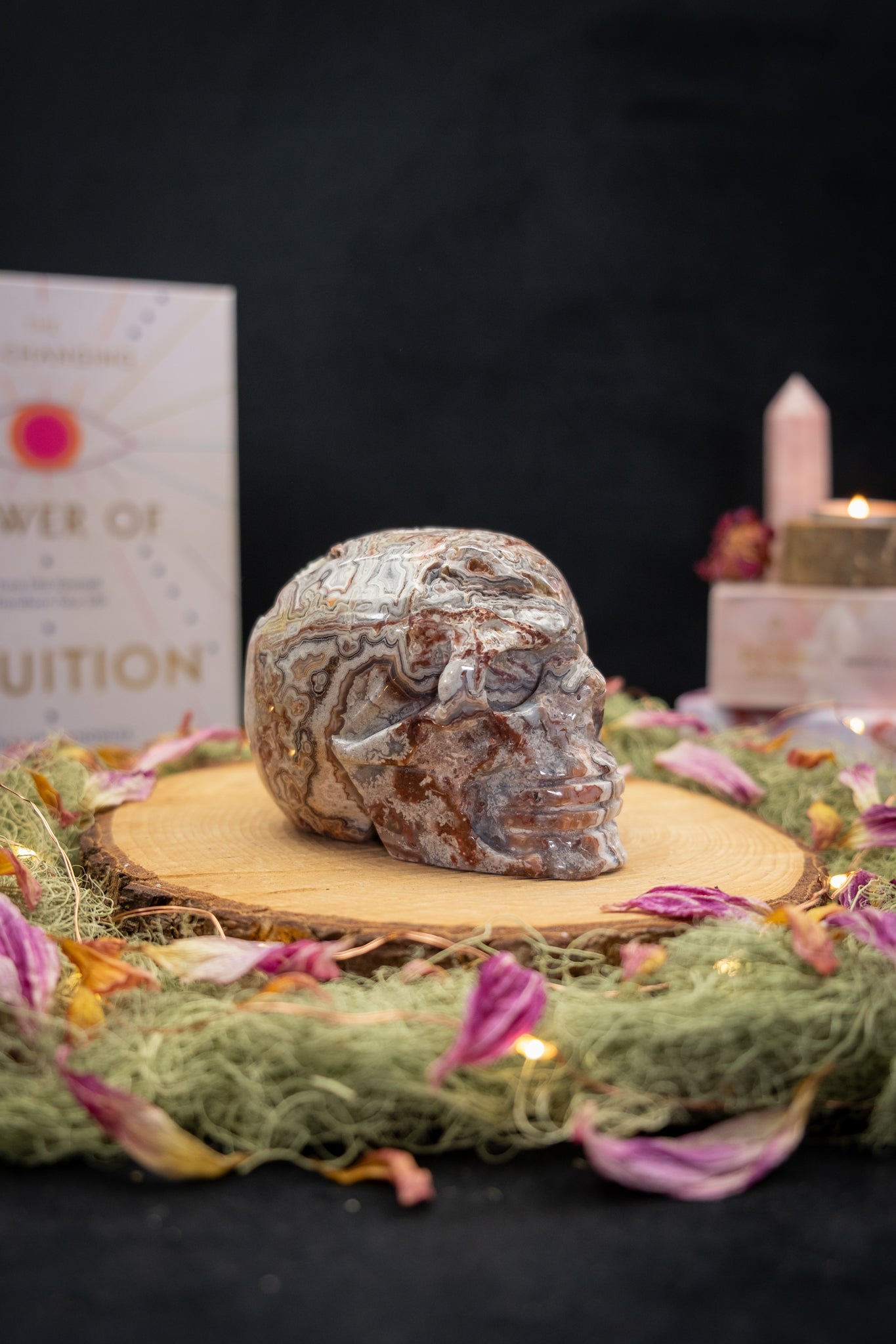 Crazy Lace Agate Skull