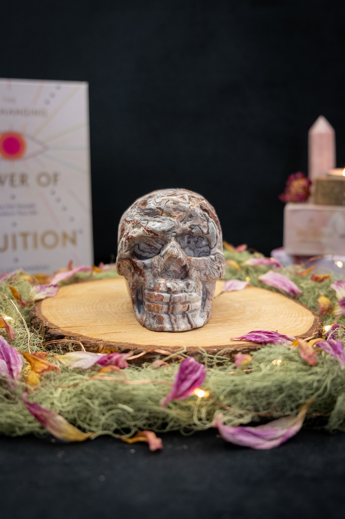 Crazy Lace Agate Skull