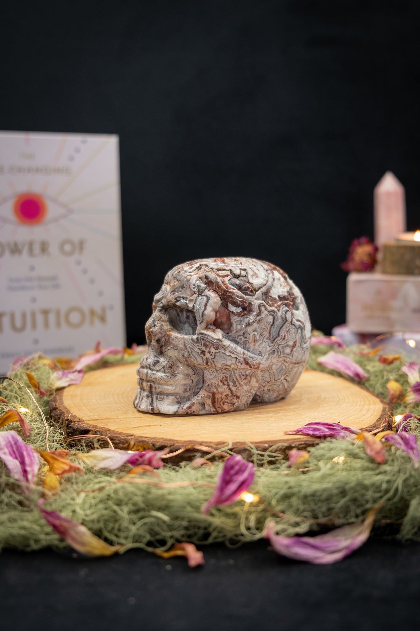 Crazy Lace Agate Skull