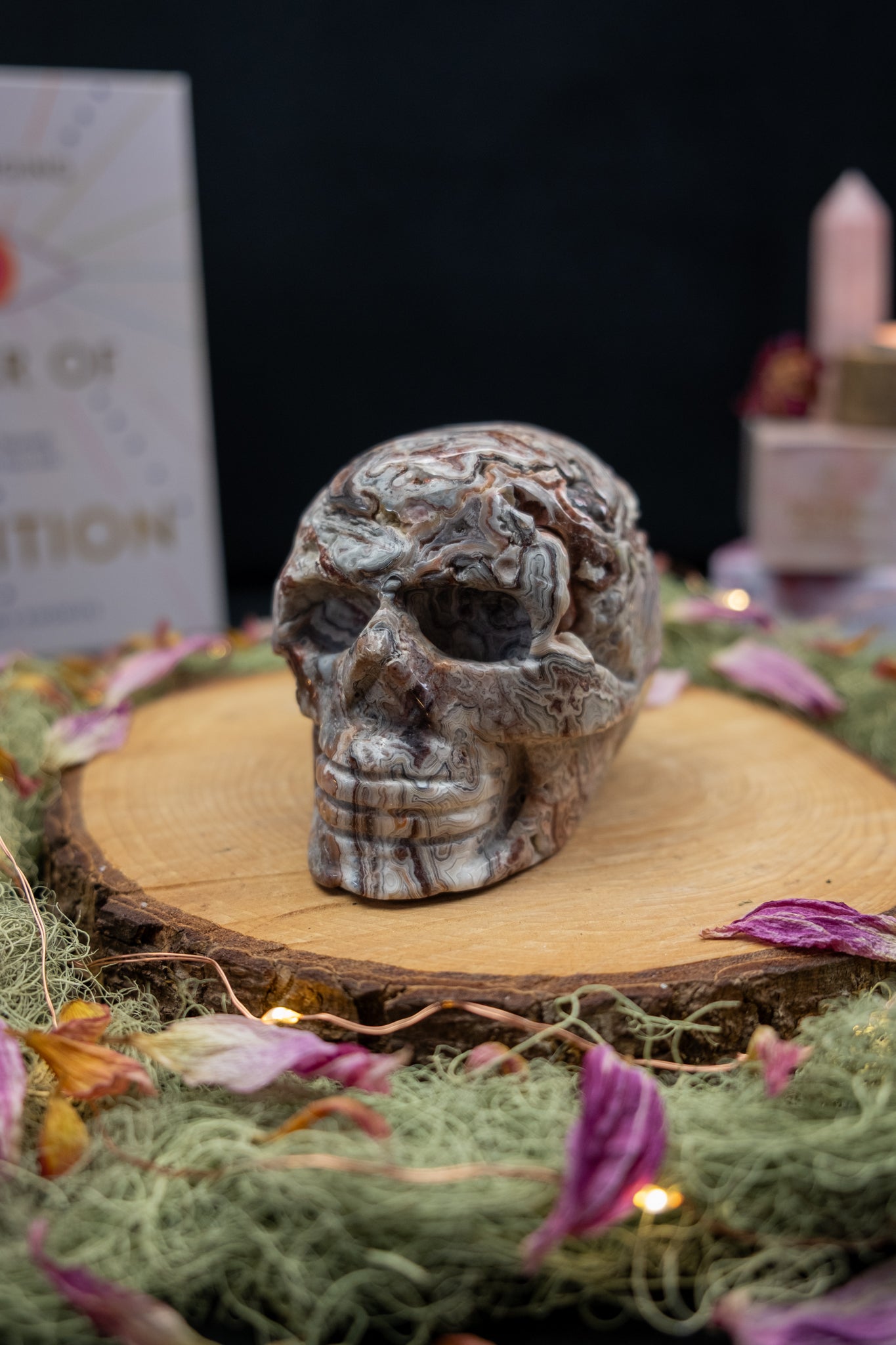 Crazy Lace Agate Skull
