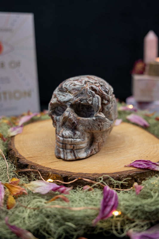 Crazy Lace Agate Skull