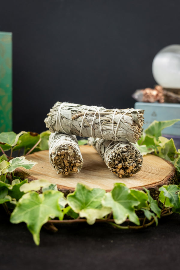 White Sage Smudge Stick Bundle, Ethically Sourced Sage for Cleansing, Purification, Energy Clearing Rituals and Meditation