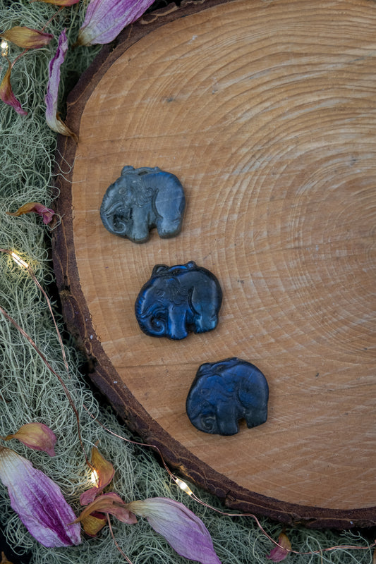 Labradorite elephant crystal, hand carved, crystal for wisdom, knowledge and insight
