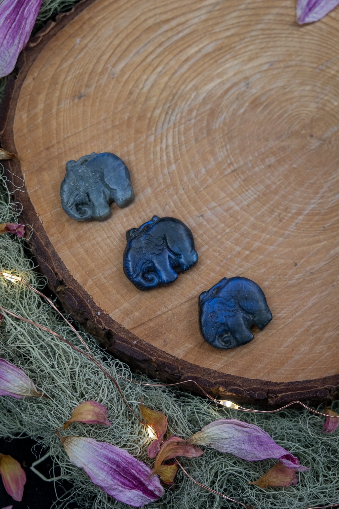 Labradorite elephant crystal, hand carved, crystal for wisdom, knowledge and insight