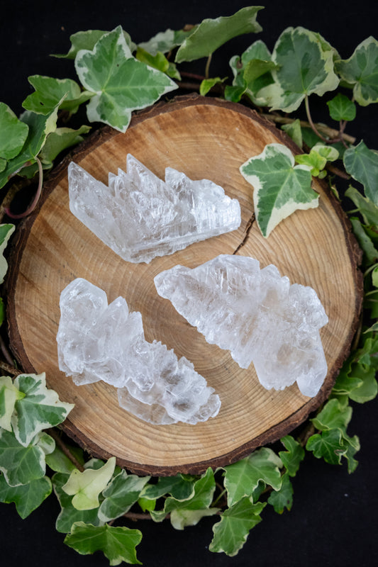 Fish Tail Selenite Crystal Cluster, Unique Satin Spar Stone for Cleansing, Clarity and Spiritual Connection