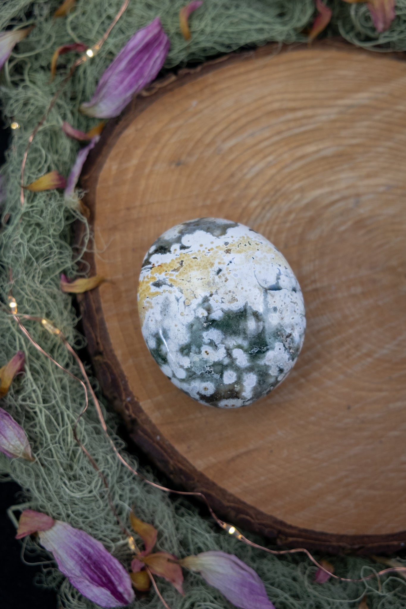 Orbicular Jasper Palm Stone