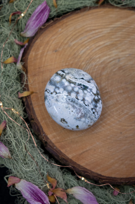 Orbicular Jasper Palm Stone